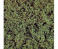 модель BUSCH 7312
Наличие: модель отсутствует на складе производителя, дата поставки неизвестна. О возможности поставки уточняйте у менеджера модель BUSCH 7312