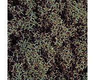 модель BUSCH 7319
Наличие: модель отсутствует на складе производителя, дата поставки неизвестна. О возможности поставки уточняйте у менеджера модель BUSCH 7319